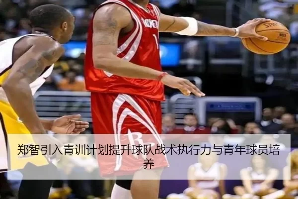 郑智引入青训计划提升球队战术执行力与青年球员培养